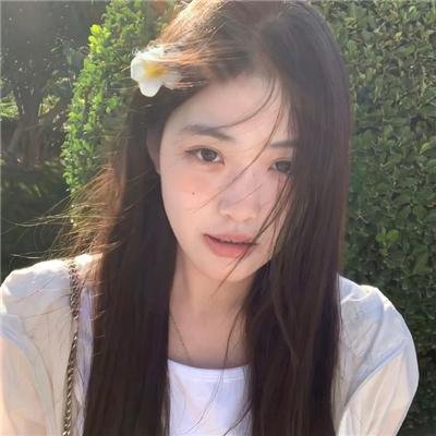 大清盐商